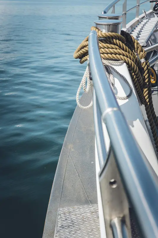 Surplus.Boats Premium Domain